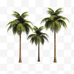 蓝色海岸线图片_棕榈树隔离 3D 渲染插图