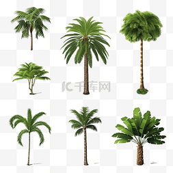 水果25d图片_3d 插图椰子树在自然中的集合