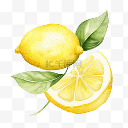 手植物图标图片_水彩柠檬皮剪贴画