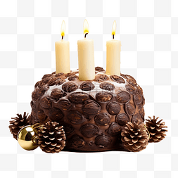 松果菊精华图片_意大利巧克力节日糕点圣诞蛋糕，