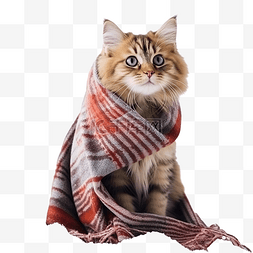 一只戴着针织围巾的猫在圣诞树附