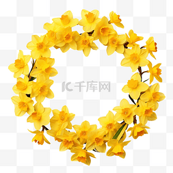 水彩手绘水仙图片_黄色水仙花的花环