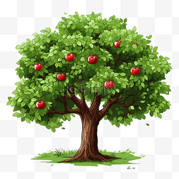秋天苹果树图片_大苹果树免费插画