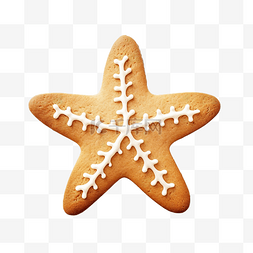 饼干形状的可爱海星