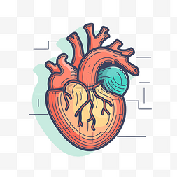 心脏生理学插图平铺概念图形设计