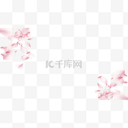 春季美图图片_樱花粉色飘落边框横图
