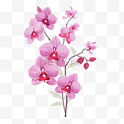 浪漫的紫色图片_扁平风格美丽的兰花，粉红色和紫