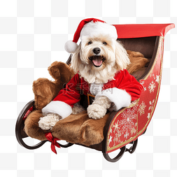 圣诞小狗狗图片_圣诞节假期雪橇内有趣的圣诞老人