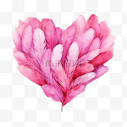 箭羽毛图片_美丽的心由水彩粉色羽毛制成