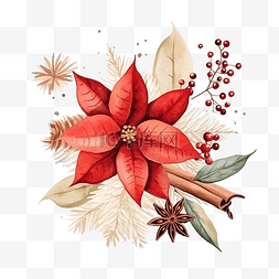 八角手绘图片_圣诞水彩组合物，含有一品红和圣