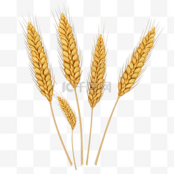 3d 插图小麦在自然中的设置