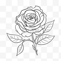 线描玫瑰花朵图片_白色背景上的玫瑰是由成人轮廓草