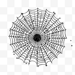线描手绘插画图片_孤立的蜘蛛网涂鸦