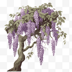 紫藤剪贴画矢量黑色紫藤树与紫色