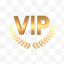 vip卡免抠图图片_3d金属vip奖章装饰