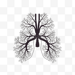 呼吸科图片_最小风格的肺部插图