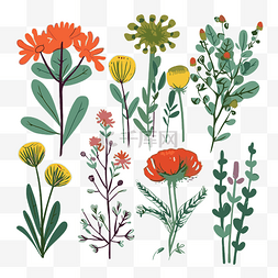 植物剪贴画手绘插画各种花卉植物