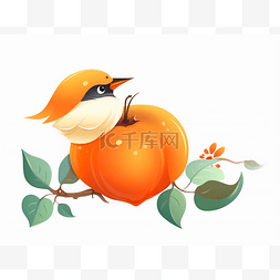 坐在橘子树枝上的可爱小鸟
