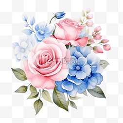 蓝色花瓣图片_水彩美丽的粉色和白色玫瑰花毛茛