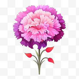 紫色扁平植物图片_扁平风格美丽的康乃馨花，粉红色