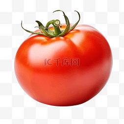 新鲜水果和蔬菜图片_新鲜多汁的红番茄特写