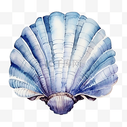 水彩贝类海洋动物