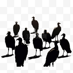 psd格式素材图片_基于我的摄影的黑秃鹫鸟群的剪影
