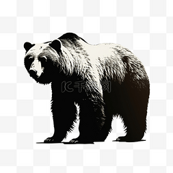 澳洲和牛素材图片_动物 熊 剪影