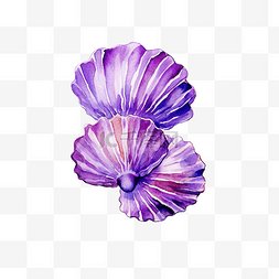 方格白色图片_可爱的紫色贝壳文具贴纸油画
