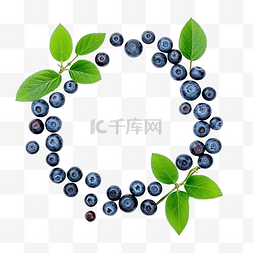 圆形成分图片_圆形框架，蓝莓，绿叶复制空间