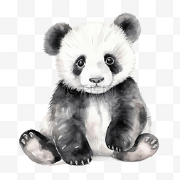 可爱的熊猫水彩画
