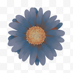 漂亮的花边框图片_蓝色漂亮的菊花