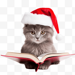 红色灰图片_戴着红色圣诞帽的可爱灰猫正在读