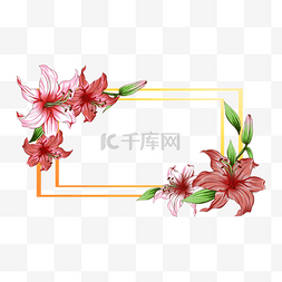 粉色植物水彩图片_百合花卉婚礼边框红色