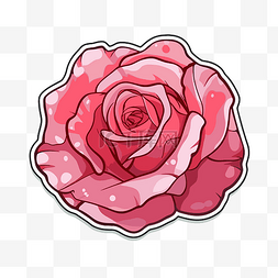 玫瑰贴纸图片_粉红玫瑰贴纸剪贴画的图像 向量