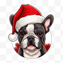 宠物圣诞节图片_狗法国斗牛犬圣诞节圣诞老人帽子