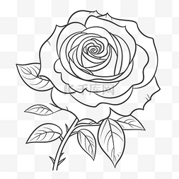 黑白素描玫瑰图片_玫瑰花朵素描的轮廓 向量