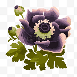 紫色首饰背景图片_海葵剪贴画海葵花，中心为紫色，