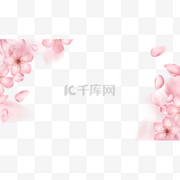 樱花光图片_樱花花朵边框粉色