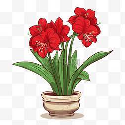 孤挺花剪贴画陶瓷盆中的红色春天
