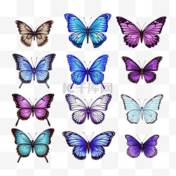 一套热带蓝色紫色彩色蝴蝶用于打