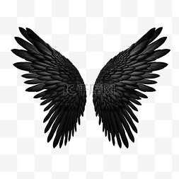 黑色的翅膀图片图片_恶魔的现实翅膀