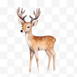 水彩圣诞图案，有可爱的鹿和色彩