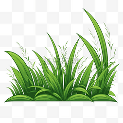 绿草的插图