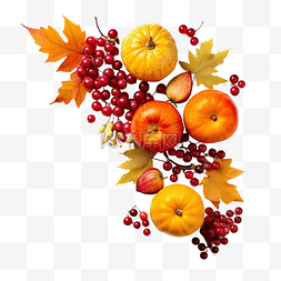 挂满苹果的果树图片_感恩节概念与秋季水果和葫芦