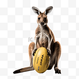 澳洲和牛素材图片_橄榄球 澳大利亚 袋鼠 小袋鼠