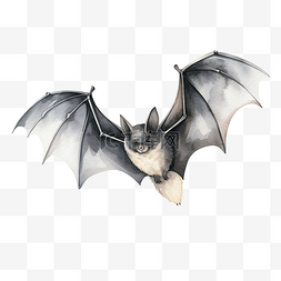 水彩蝙蝠剪贴画