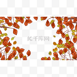 植物树叶图案图片_秋季叶子边框树枝