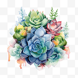 花绘植物png图片_水彩多肉插画ai生成