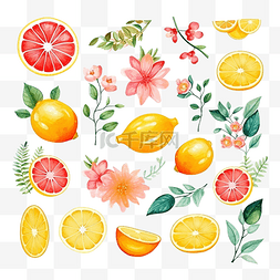 热带水果季图片_夏季水彩元素贴纸